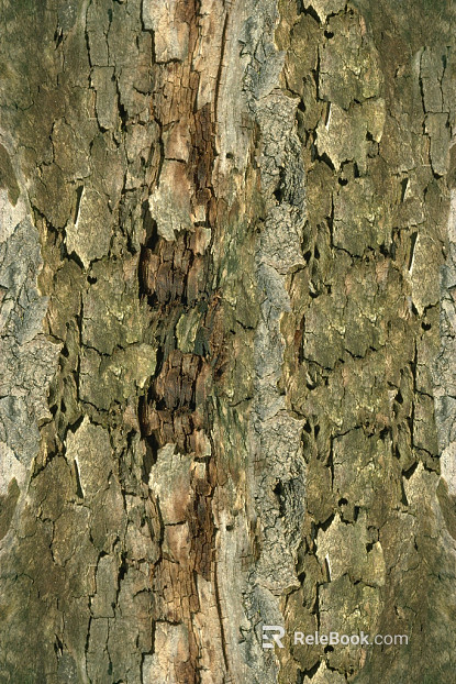 bark texture