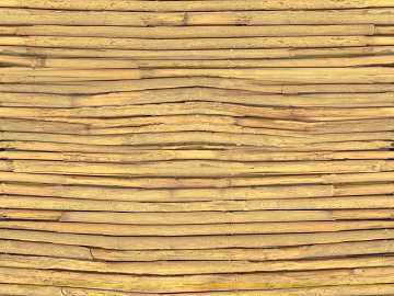 Bamboo 3d model