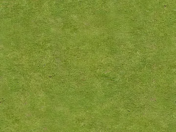 grass grass grass grass grass grass green plant texture (ID:ffach974271)