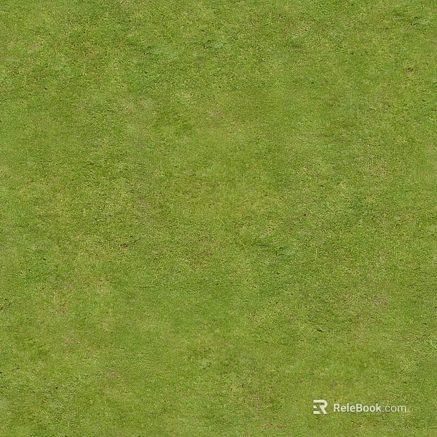 grass grass grass grass grass grass green plant texture