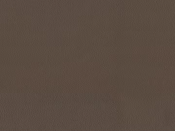 fine grain leather texture (ID:ffacg40242)