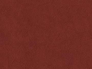 fine grain leather 3d model
