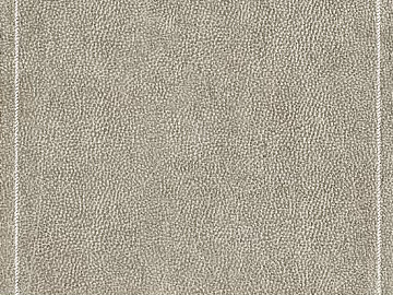 fine grain leather texture (ID:ffagg63117)