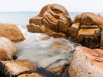 Wild Scenery texture (ID:ffabg71129)