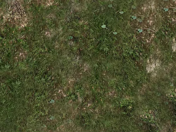 Turf texture (ID:ffajg35498)