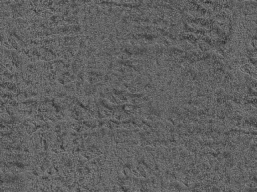 Cement floor texture (ID:ffajg48689)