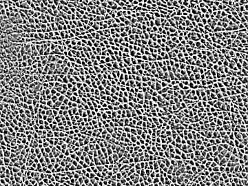Coarse-grain leather texture (ID:ffaef2406)