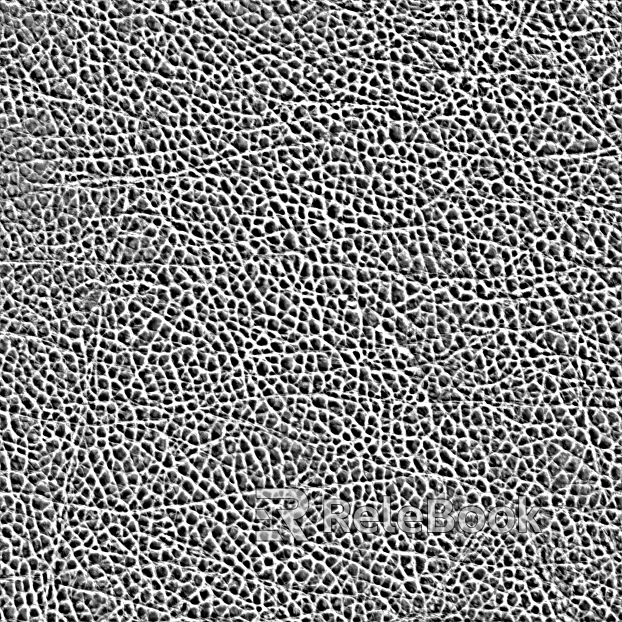 Coarse-grain leather texture