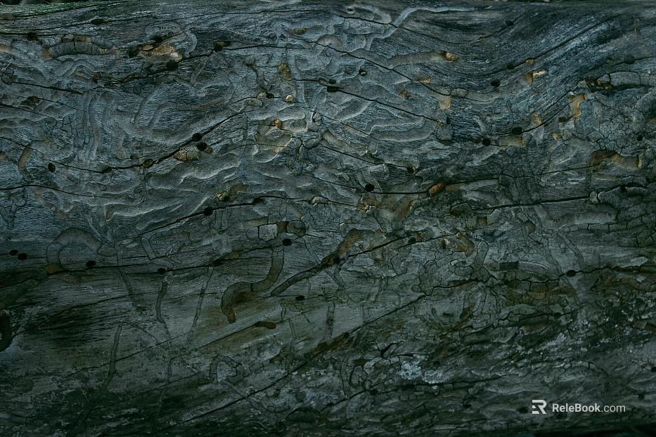 Murals texture