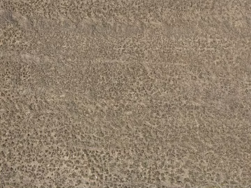 Cement floor texture (ID:ffacg40525)