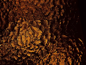 Gold Foil texture (ID:ffaeg06558)