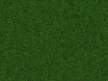 Turf texture (ID:ffabg51926)