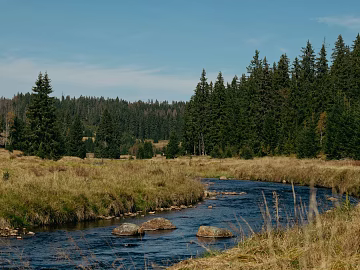 Outdoor Scenery texture (ID:ffajh597767)