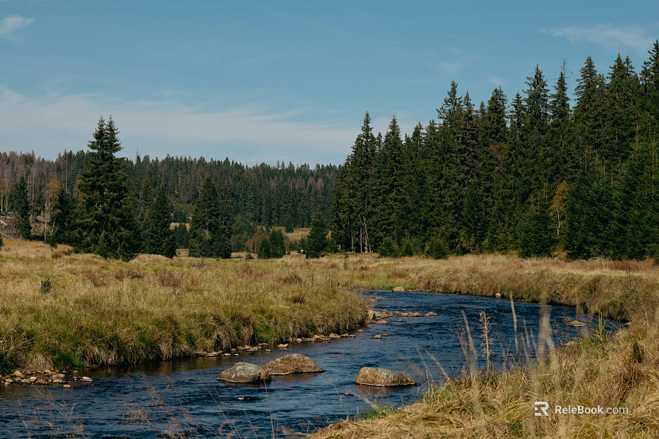 Outdoor Scenery texture