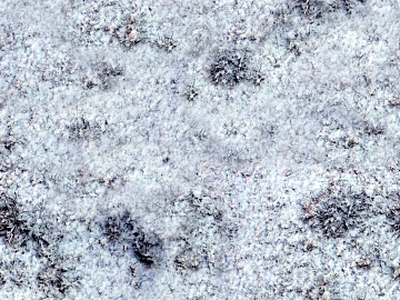 Snow and snow texture (ID:ffach632836)