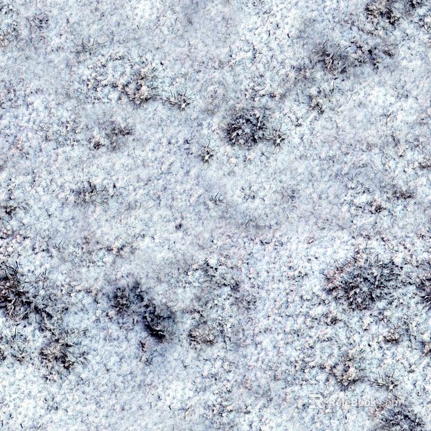 Snow and snow texture