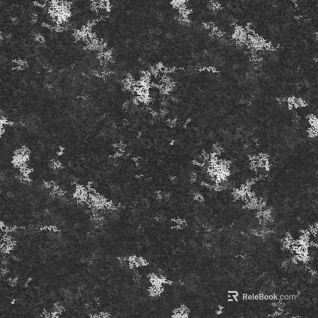 Black and White Spotted Granite Wall Surface Ground Stone texture