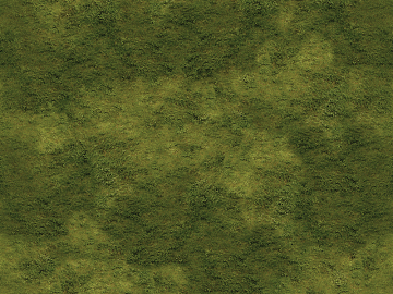 moss texture (ID:ffagg18841)