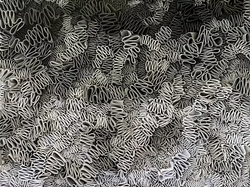 plastic rubber texture (ID:ffaag95156)