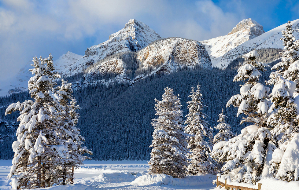Snow Scenery texture