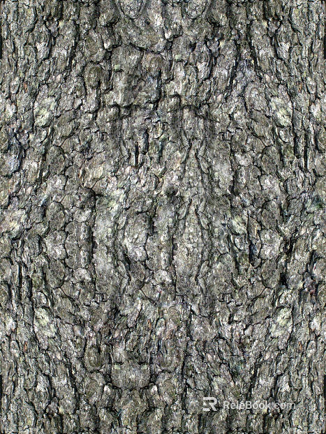 bark texture