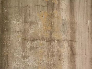 Cement floor texture (ID:ffagg61286)