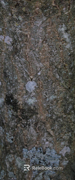 Rock texture