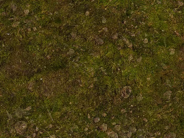 Lawn texture (ID:ffaeh983364)