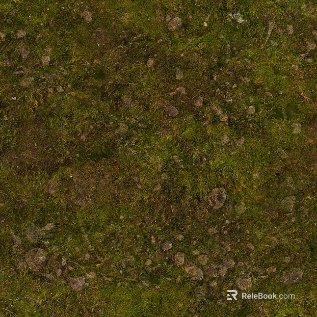 Lawn texture