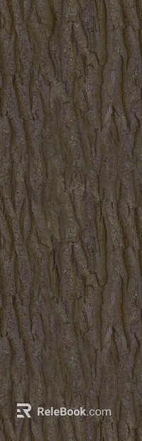 bark texture