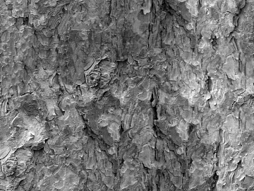 Stone seamless texture (ID:ffacf9476)