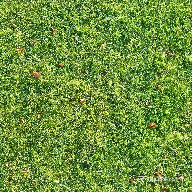 Turf texture