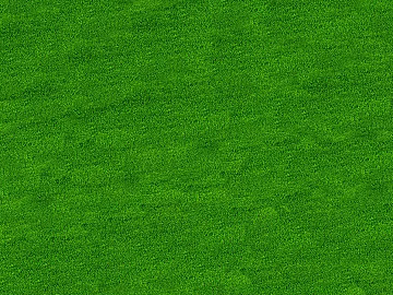 Turf texture (ID:ffajg45714)