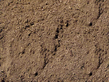 Mud texture (ID:ffach343506)