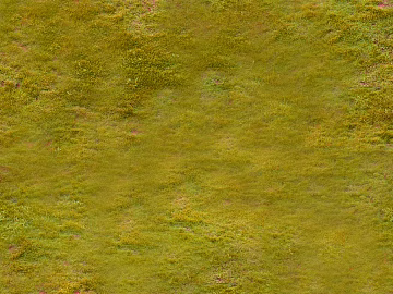 Turf texture (ID:ffagg01996)