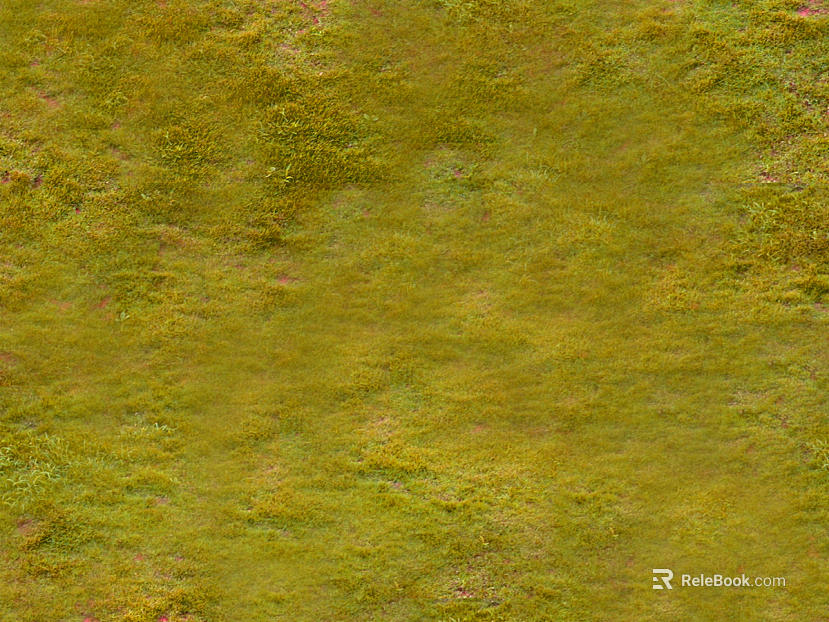 Turf texture