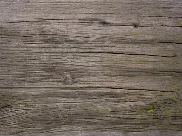 old wood texture (ID:ffadf5638)