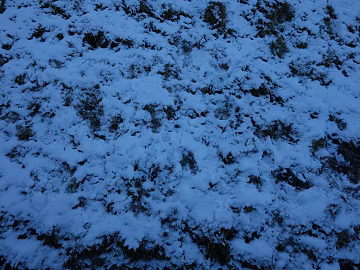 Snow texture (ID:ffaeg18843)