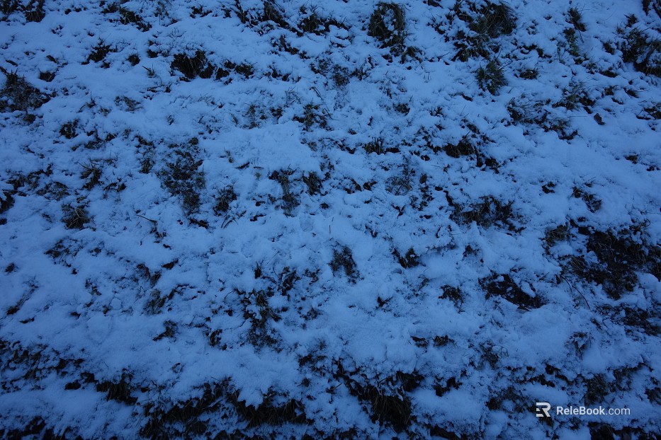 Snow texture