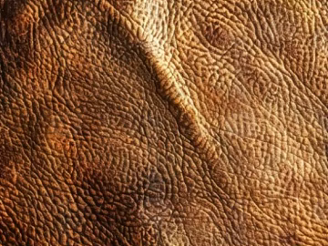 Coarse-grain leather texture (ID:ffach444081)