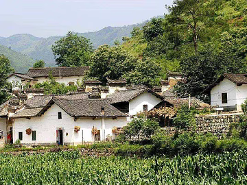 Pastoral scenery texture (ID:ffaeg78160)