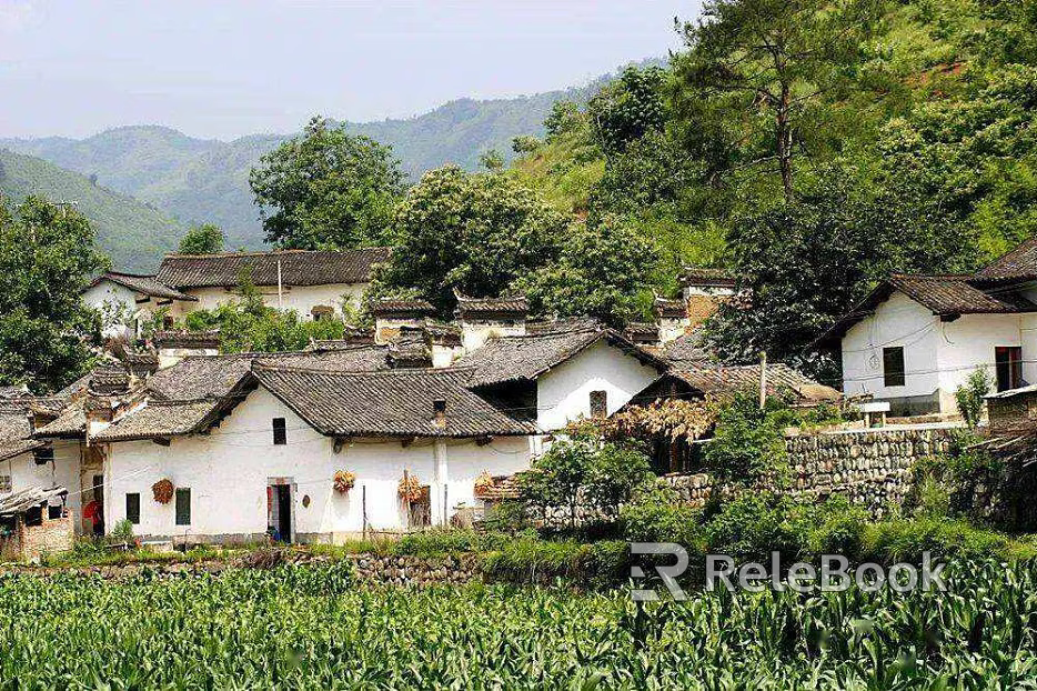 Pastoral scenery texture