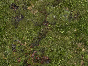 moss texture (ID:ffaeg05185)