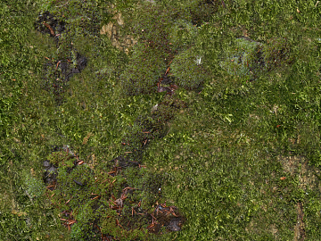 moss texture (ID:ffaeg05185)