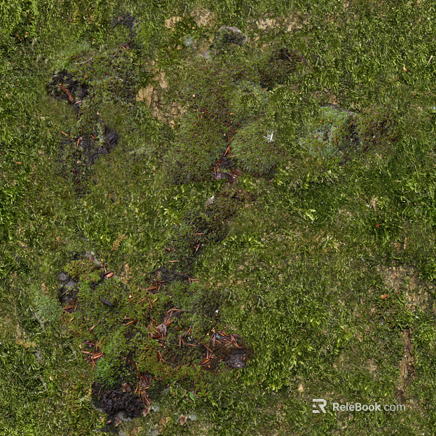 moss texture