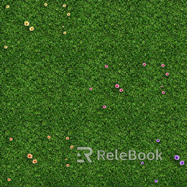 Grassland texture