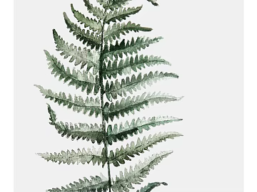 Plant painting texture (ID:ffabg22849)