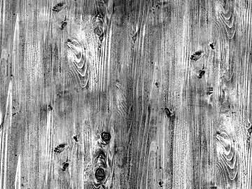 Black and white wood grain texture (ID:ffadf3755)