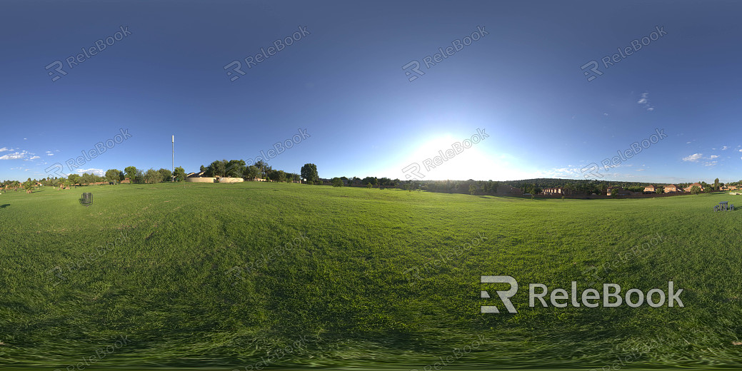 wild hdri texture