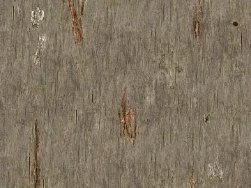 old wood texture (ID:ffacg83550)